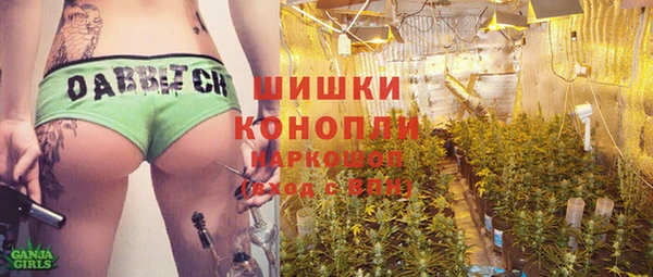 ПСИЛОЦИБИНОВЫЕ ГРИБЫ Баксан