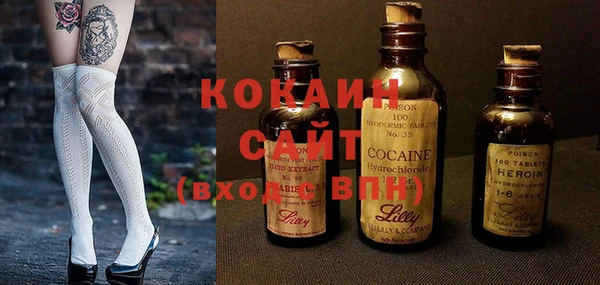 ПСИЛОЦИБИНОВЫЕ ГРИБЫ Баксан